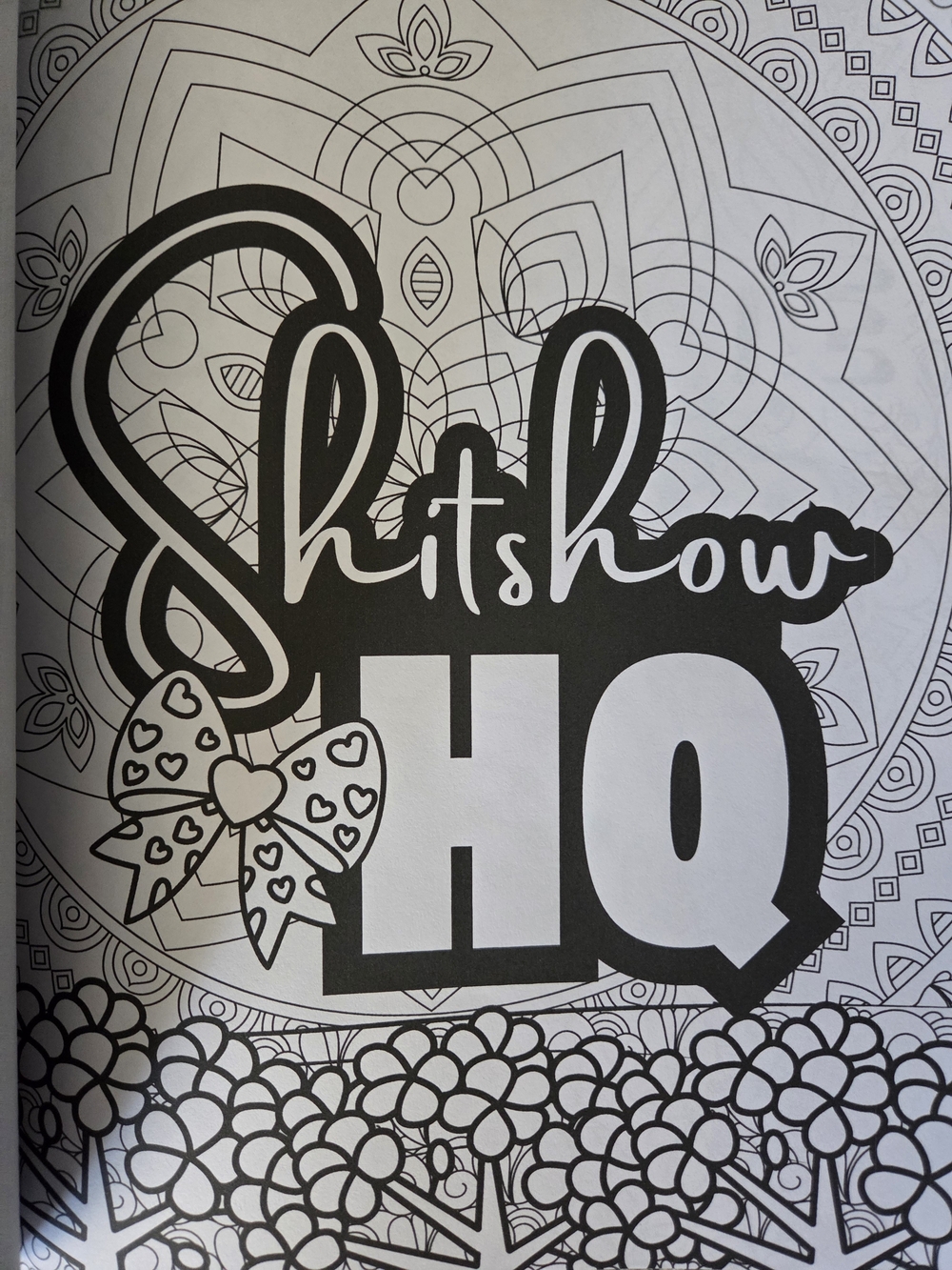 Go Lick a Cactus Adult Swear Words Coloring Book - Pink Green Black Design - Picture 5 of 8